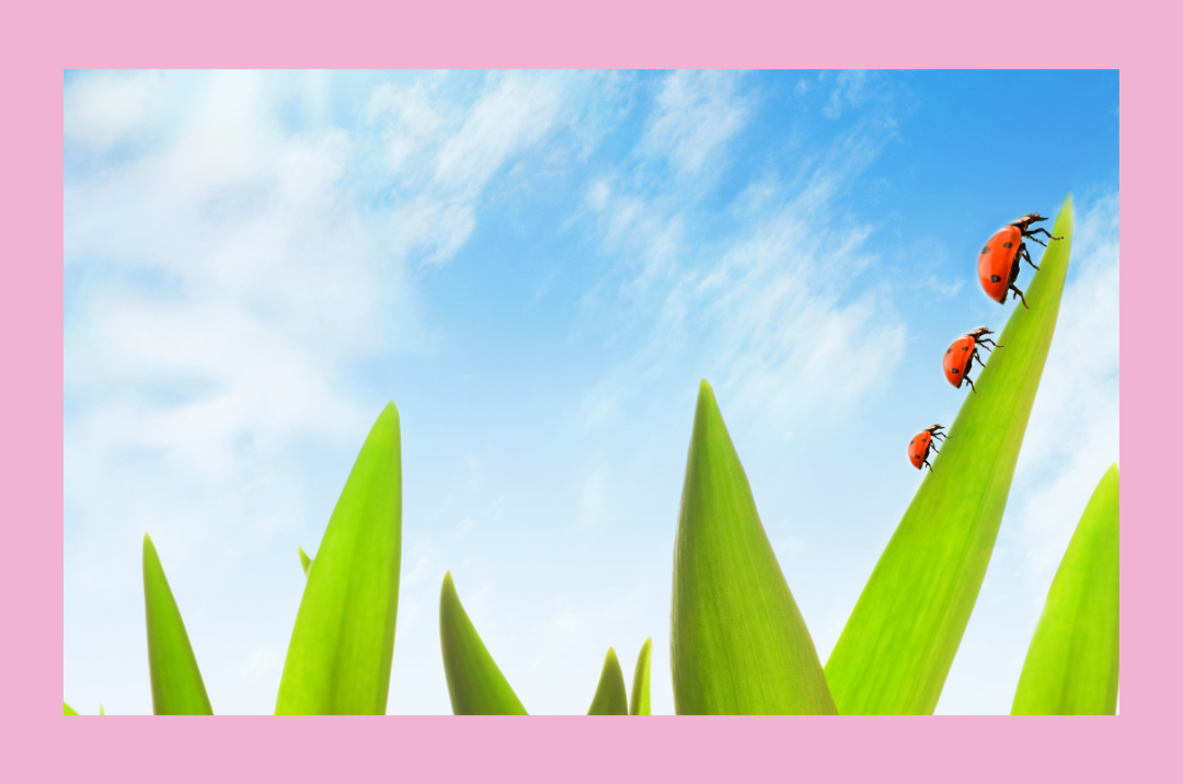 Spirituelle Trauergruppe <br> Sternenkind Mütter <br> Praxis 