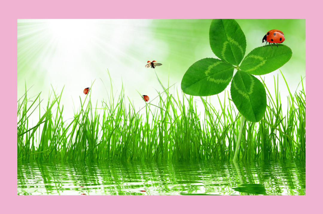 Sternenkind Gruppe <br> für Sternenkind Mütter <br> online <br> Do, 23.04. 10.30 h <br> Klick für mehr Infos