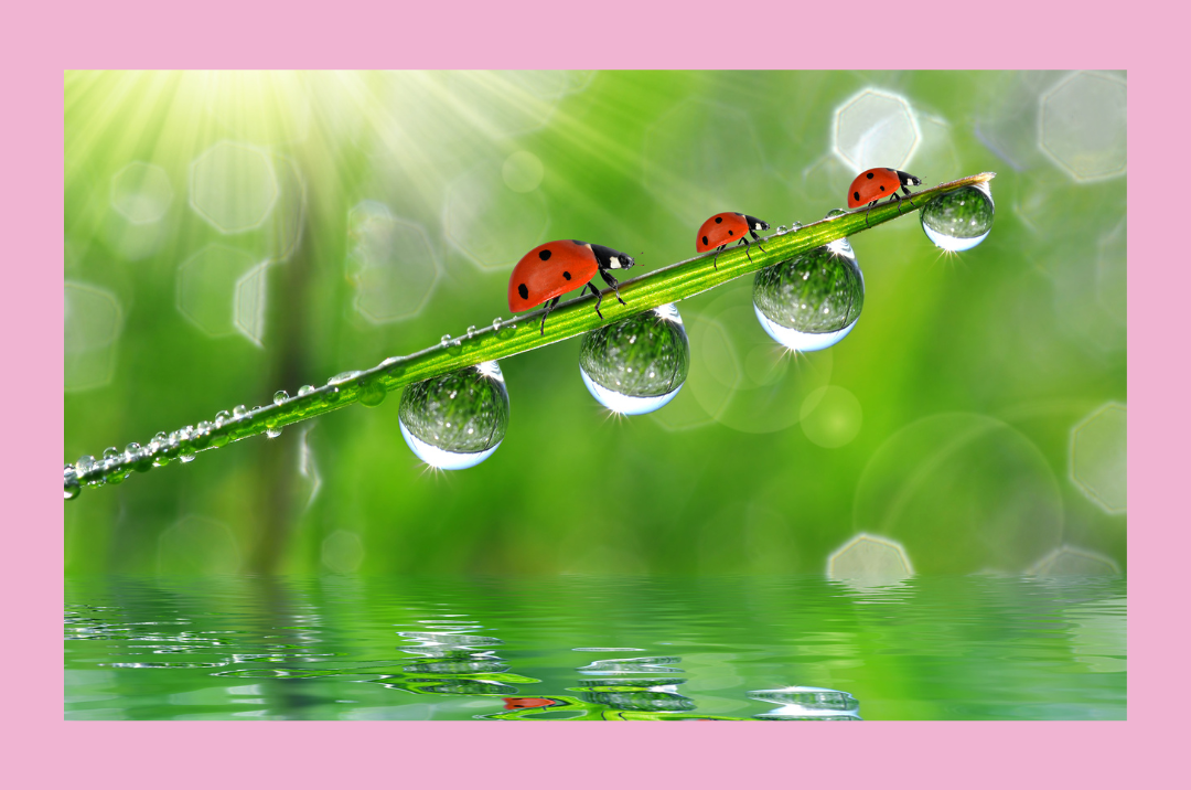 Sternenkind Gruppe <br> für Sternenkind Mütter <br> Praxis in Unna <br> Mo, 04.05. 18.30 h <br> Klick für mehr Infos